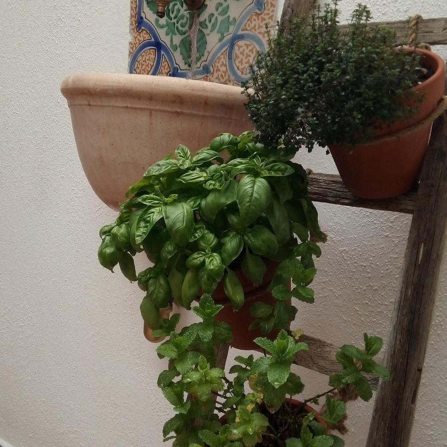 팔레르모 Il Terrazzino Sul Kemonia 아파트 외부 사진