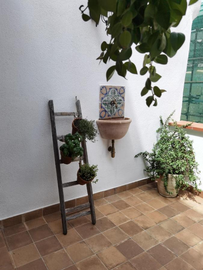 팔레르모 Il Terrazzino Sul Kemonia 아파트 외부 사진