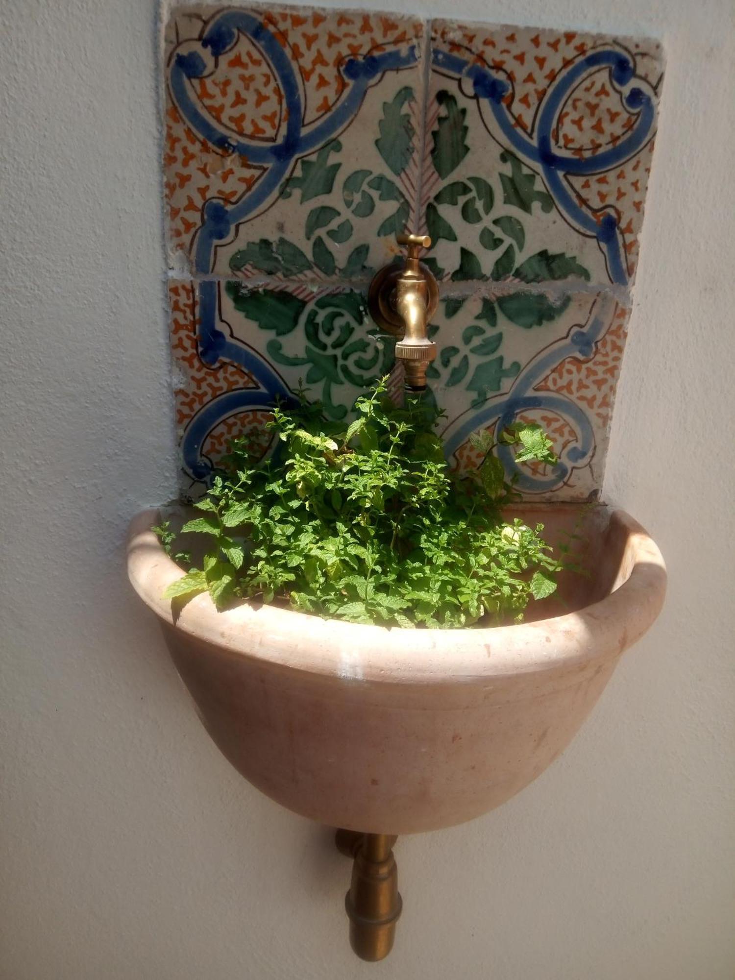 팔레르모 Il Terrazzino Sul Kemonia 아파트 외부 사진