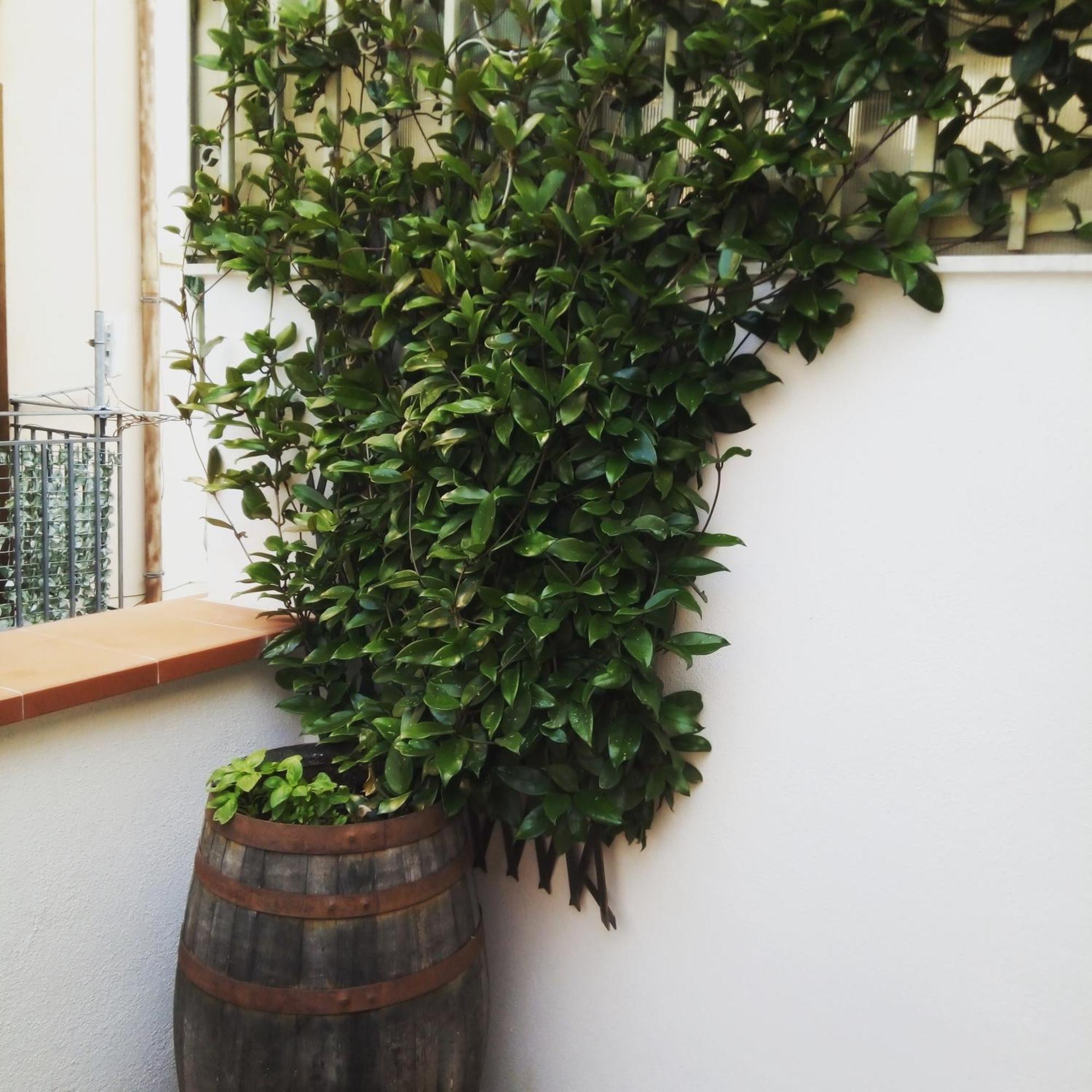 팔레르모 Il Terrazzino Sul Kemonia 아파트 외부 사진