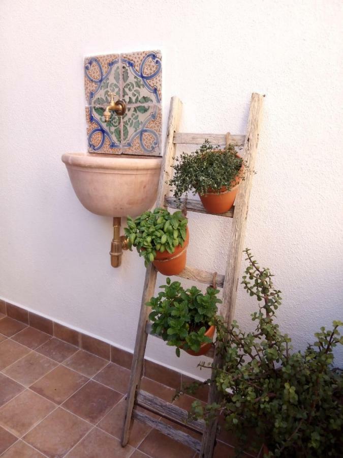 팔레르모 Il Terrazzino Sul Kemonia 아파트 외부 사진